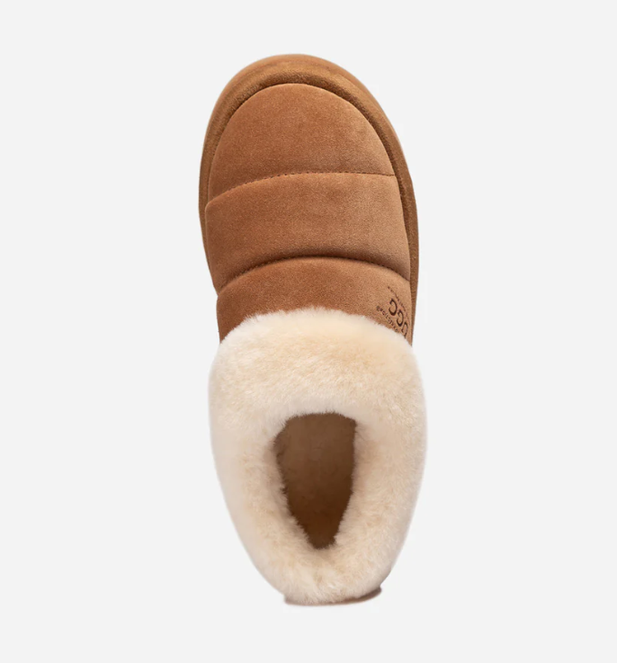 Ozwear Ugg Platform Cactus Slipper (5cm) ob926