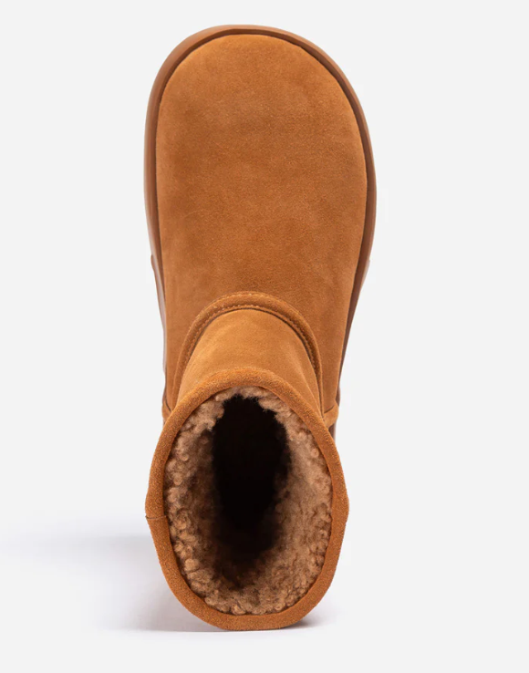 Ozwear Ugg Ashton Short Boots ob919