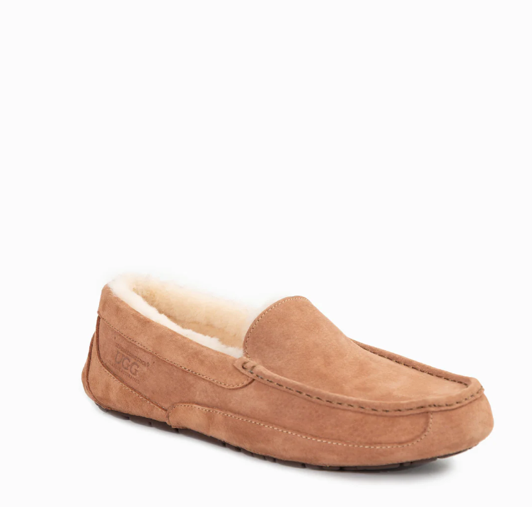 Ozwear Ugg Denver Men's Moccasin (Water Resistant) ob765