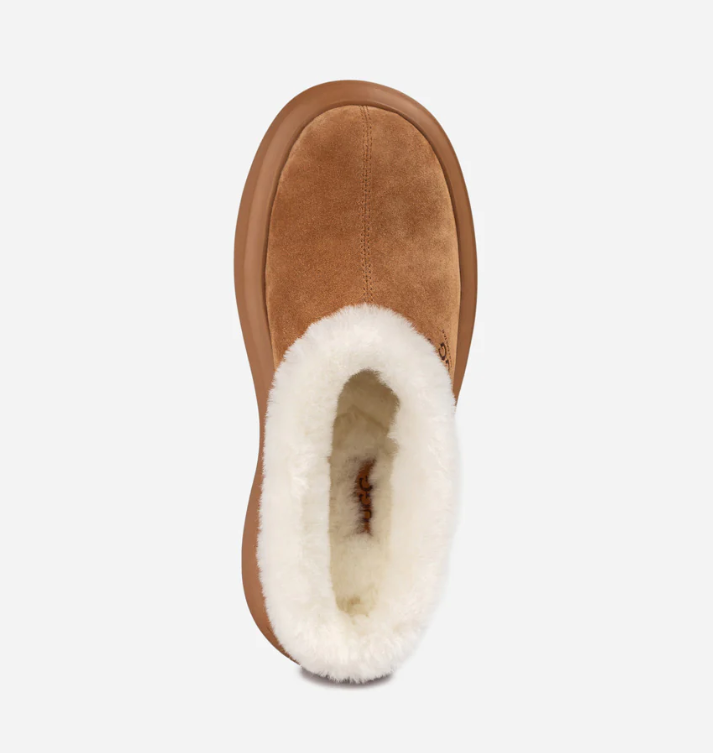 Ozwear Ugg Shearling Heights Clog ob839