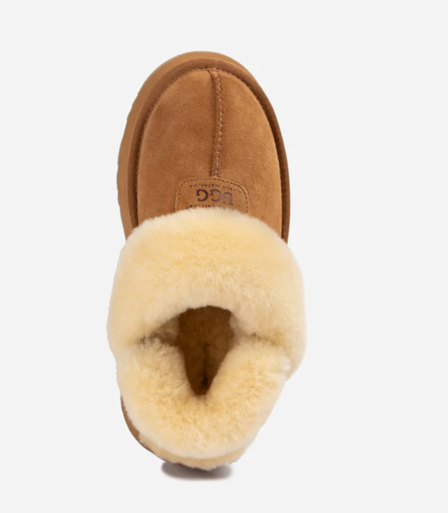 Ozwear Ugg Coquette Platform Slipper  ob114pd